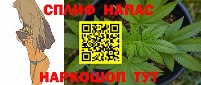 мдпв Лесосибирск