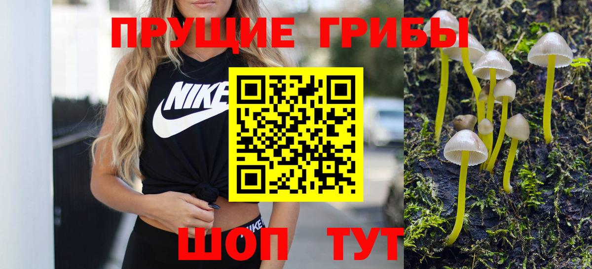 Псилоцибиновые грибы Psilocybe Троицк