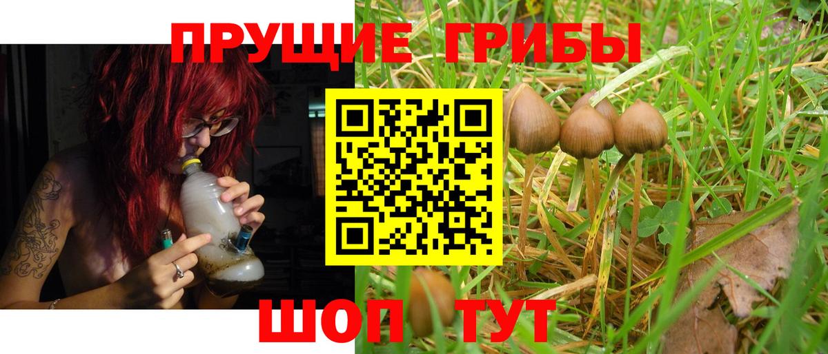 Галлюциногенные грибы GOLDEN TEACHER  Вход с VPN  где купить наркоту  Троицк 